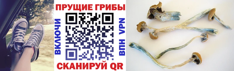Галлюциногенные грибы мухоморы  мега ONION  Пикалёво 